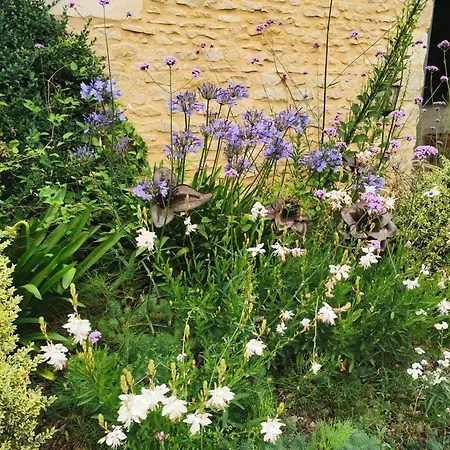 بيت ضيافة De L'iris