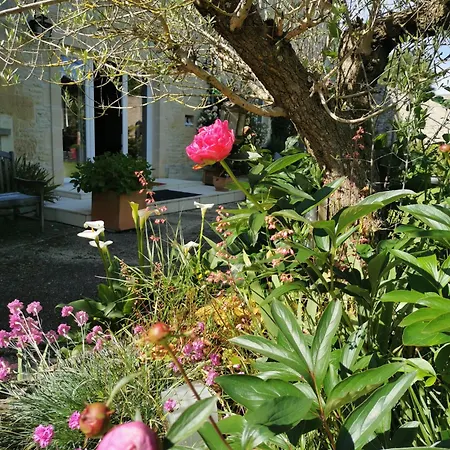 بيت ضيافة De L'iris