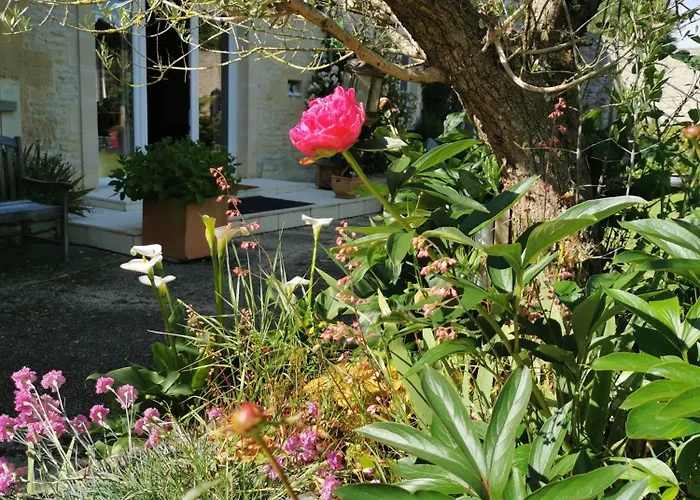 Guest house De L'iris